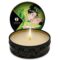 Imagen que nos facilita SHUNGA CANDLES de su producto erótico SHUNGA - MINI CARESS BY CANDELIGHT VELA MASAJE TÉ VERDE 30 ML para nuestra categoría "DROGUERÍA |Para Masajes|Velas de Masaje".